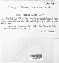Image Associated With the Occurence